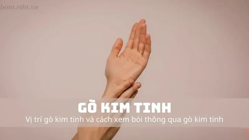 Gò Kim Tinh có ý nghĩa gì?