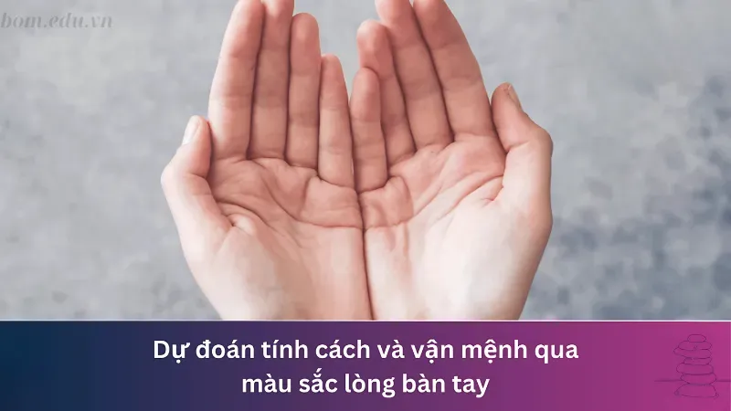 Màu sắc và độ dày của lòng bàn tay