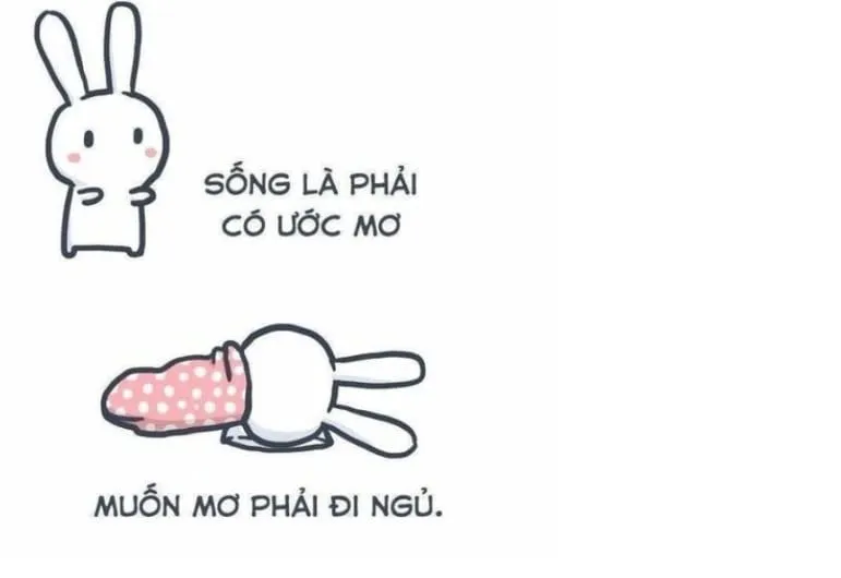 Meme chúc ngủ ngon cute - Lời chúc dễ thương nhất dành cho bạn.