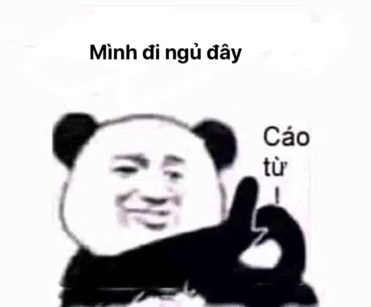 Meme chúc ngủ ngon hài - Cách tuyệt vời để kết thúc ngày với tiếng cười.