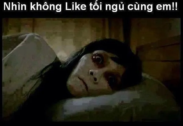 Khi bạn cần chút hài hước trước khi ngủ - Ảnh meme ngủ.