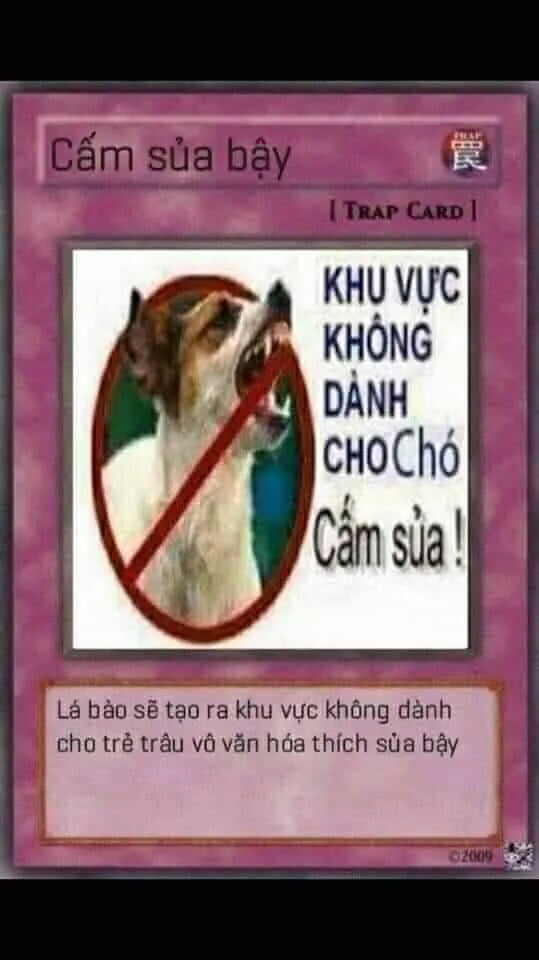 Bộ bài YuGiOh meme cực kỳ thú vị, nâng tầm trận đấu của bạn!