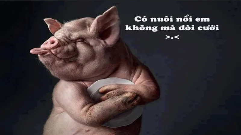 Meme avatar hài giúp bạn thêm phần nổi bật và thú vị.