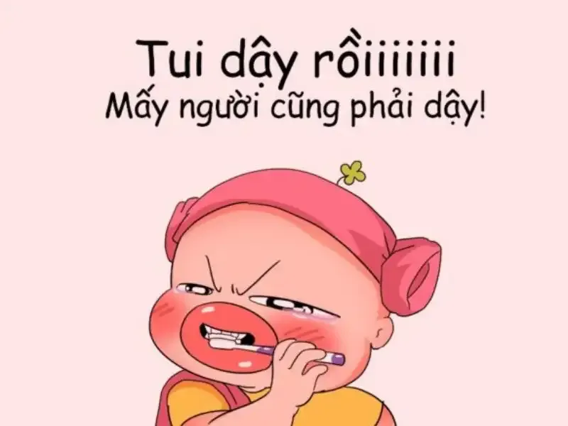 Tải ảnh đại diện Zalo dễ dàng và nhanh chóng từ các nguồn uy tín và chất lượng