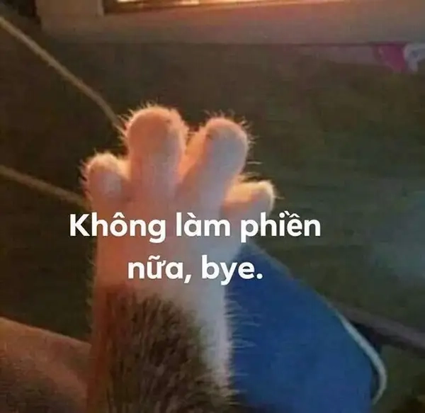 Chia tay không còn buồn khi xem meme tạm biệt hài hước này.