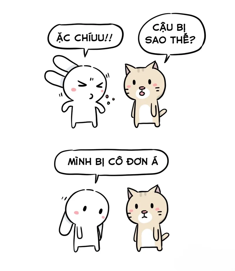 Meme thỏ bảy màu hài hước, khiến ai cũng bật cười.