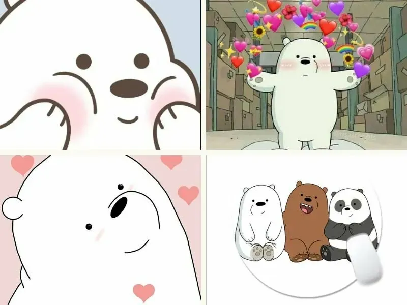 Hình nền gấu trắng cute, tạo cảm giác ấm áp và dễ chịu