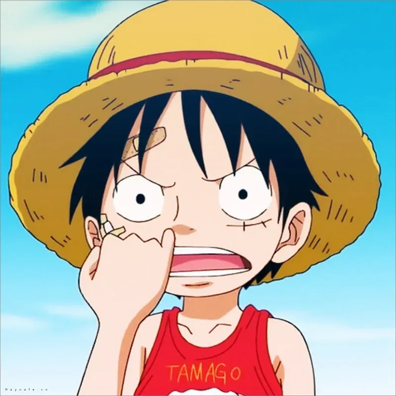 Avatar Luffy buồn, biểu hiện cảm xúc sâu sắc của Luffy trong những khoảnh khắc khó khăn