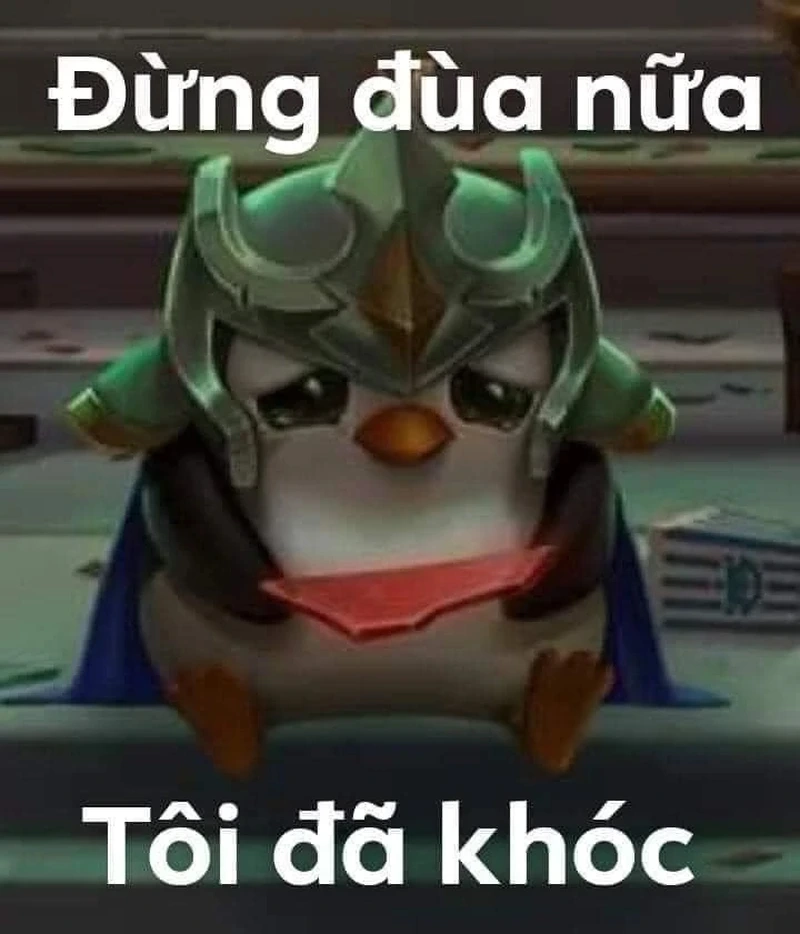 Bộ meme 4 chú chim cánh cụt sẽ làm ngày của bạn thêm vui.