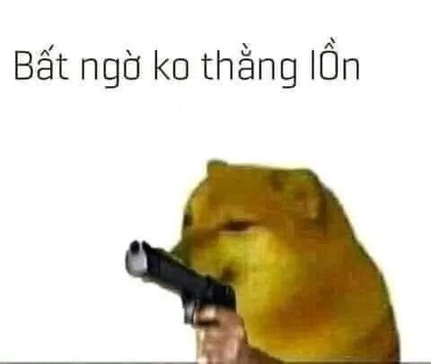 Meme chó dễ thương, mang lại nụ cười cho mọi người xung quanh bạn.