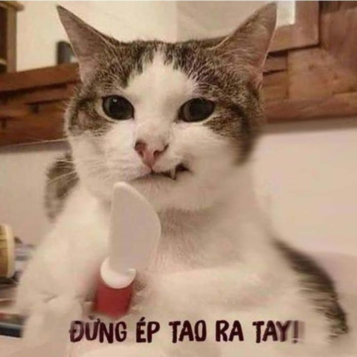 Ảnh meme đánh nhau tạo ra những tình huống 