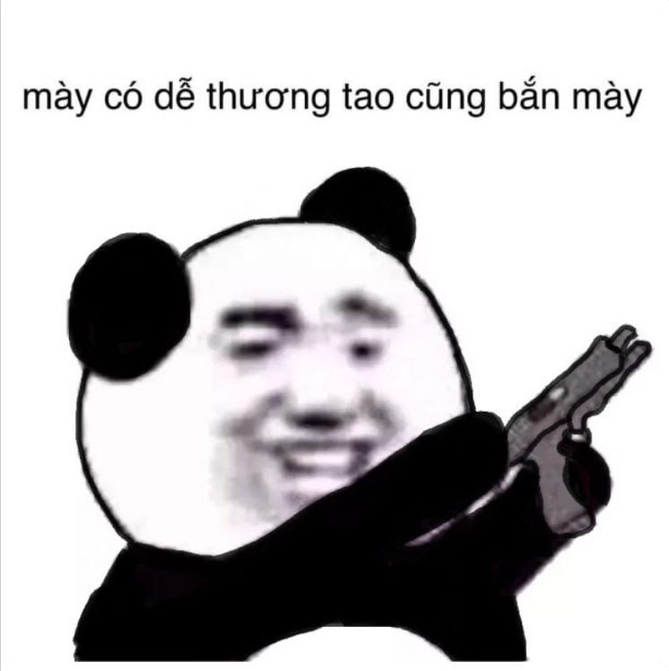 Đánh lộn meme mèo đánh nhau khiến bạn không thể nhịn cười với những pha 