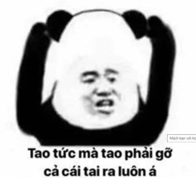 Chửi lộn meme chửi làm cho mọi cuộc tranh cãi trở nên thú vị hơn bao giờ hết.