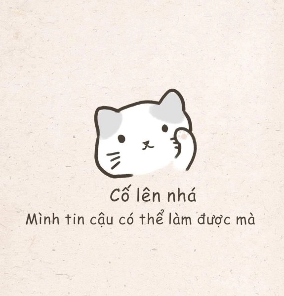 Chuột cống meme mang lại tiếng cười bất ngờ.