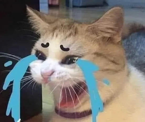 Cat crying meme là hình ảnh dễ thương khiến ai cũng muốn ôm mèo ngay lập tức.