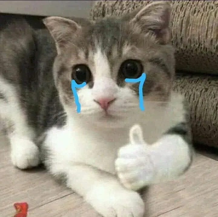 Meme crying cat mang lại sự hài hước, nhưng cũng rất đầy cảm xúc.