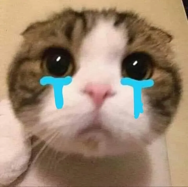 Meme cry cat đầy xúc cảm, dễ thương nhưng cũng khiến bạn phải suy nghĩ.