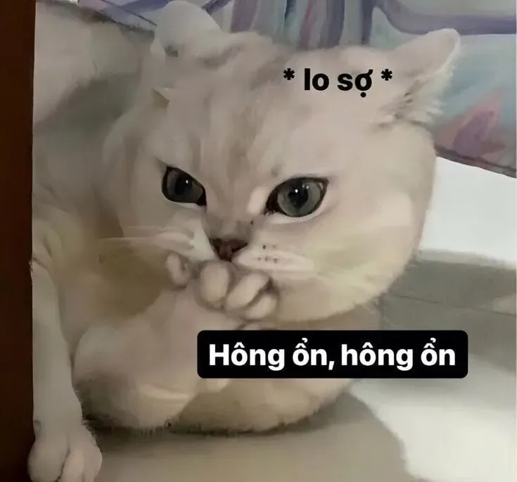 Wojak crying meme là hình ảnh mạnh mẽ, khiến bạn cảm thấy xót xa và đồng cảm.