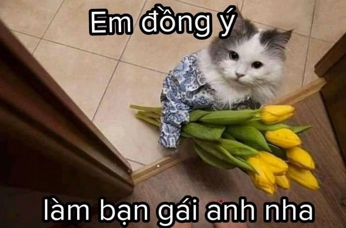 Đội quần hài hước cute ảnh người que meme cực độc đáo.