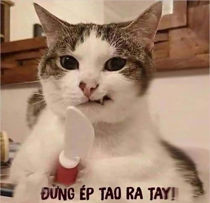 Icon chế ảnh meme cute đáng yêu, thích hợp cho mọi bài đăng.