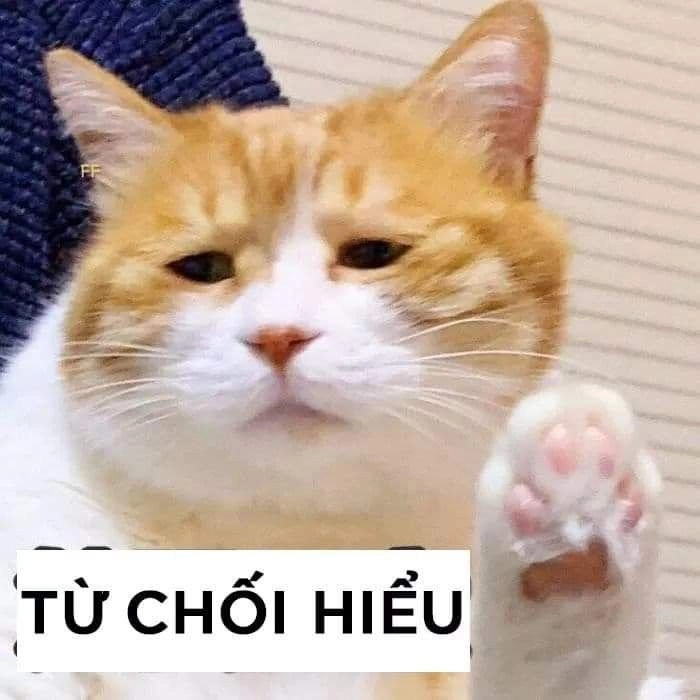 Meme ảnh em bé cute có chữ siêu hài, tạo cảm giác dễ chịu.