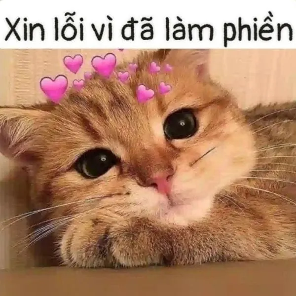 Meme cute hình icon dễ thương, khiến mọi tin nhắn thêm phần sống động.