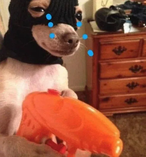 Sad dog meme tạo ra cảm xúc xót xa với sự đáng yêu của chú chó.