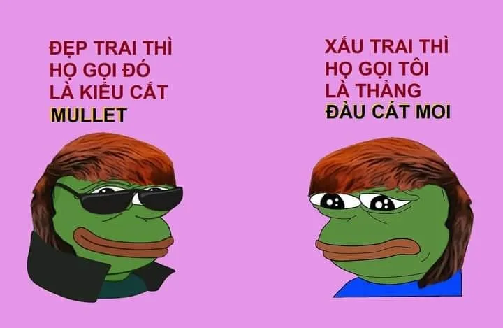 Ếch kermit meme với biểu cảm tinh nghịch làm hài lòng mọi người.