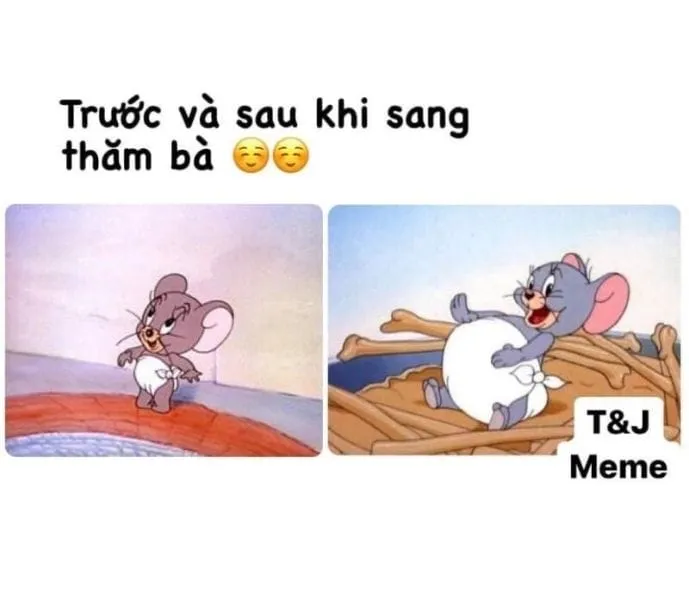 Tom face meme, hình ảnh mèo Tom với loạt biểu cảm khiến bạn không thể nhịn cười.