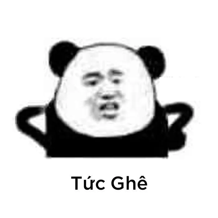 Cười lăn cùng meme gấu trúc khóc, biểu cảm siêu dễ thương!