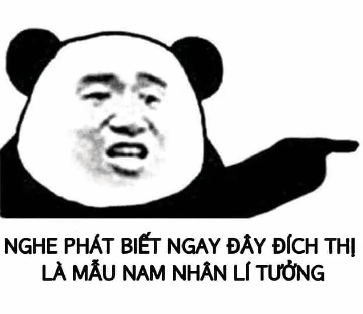 Gấu trúc meme mắt thâm biểu tượng của những đêm mất ngủ bá đạo.