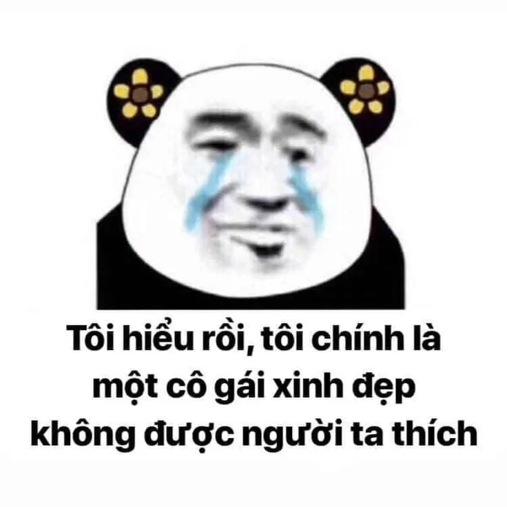 Meme mắt gấu trúc thể hiện nét mệt mỏi hài hước, ai cũng phải bật cười.