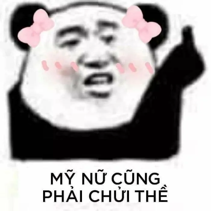 Gấu trúc mắt thâm meme biểu cảm khiến dân mạng thích thú không ngừng.