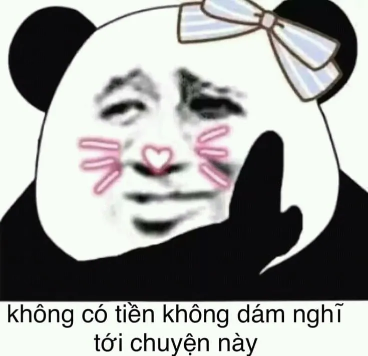 Meme gấu trúc bựa Trung Quốc với biểu cảm hài hước gây cười mọi lúc.