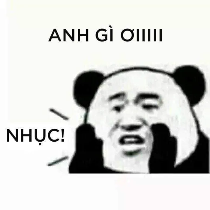 Meme gấu trúc xin lỗi biểu cảm thành thật nhưng không kém phần hài.