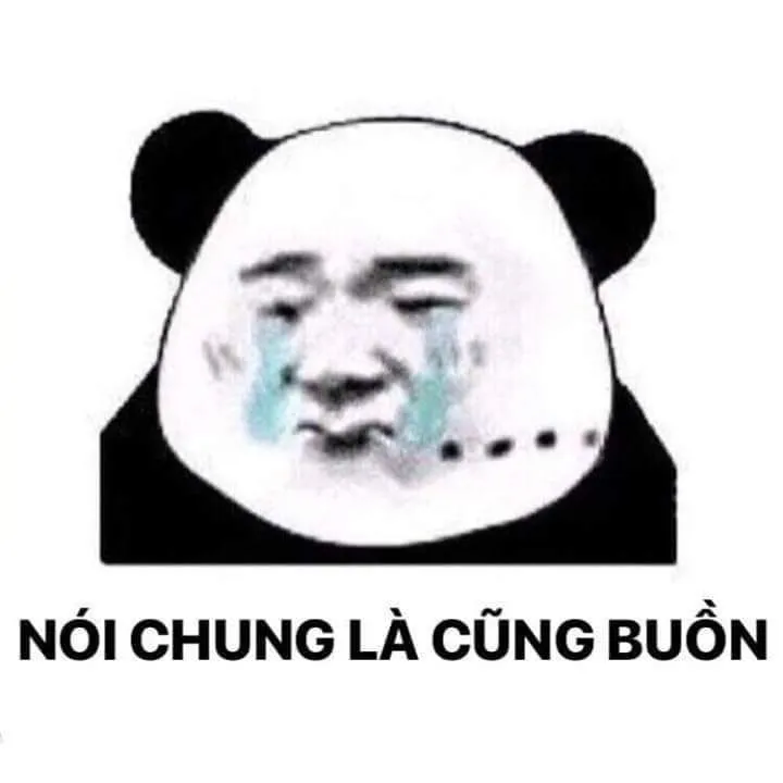 Hài hước đỉnh cao cùng meme gấu trúc, giải trí bất tận!