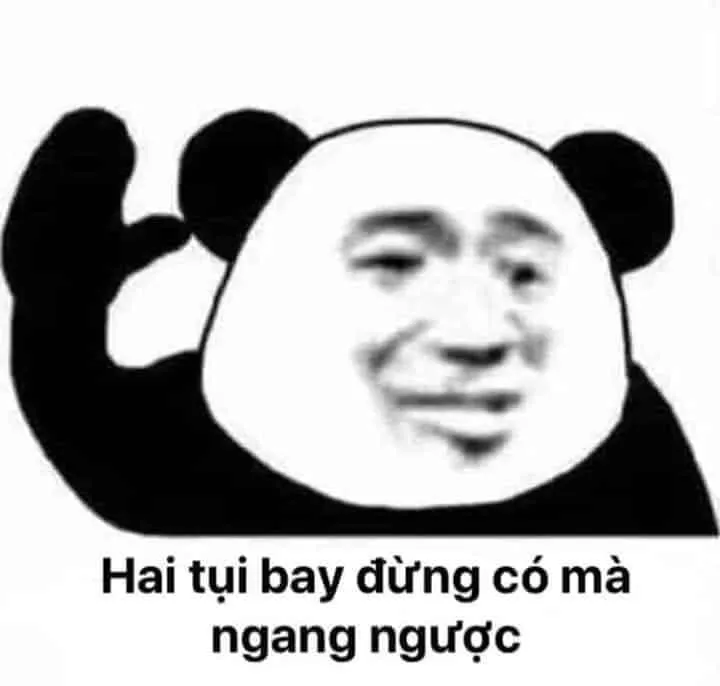 Meme gấu trúc ngang ngược biểu cảm 