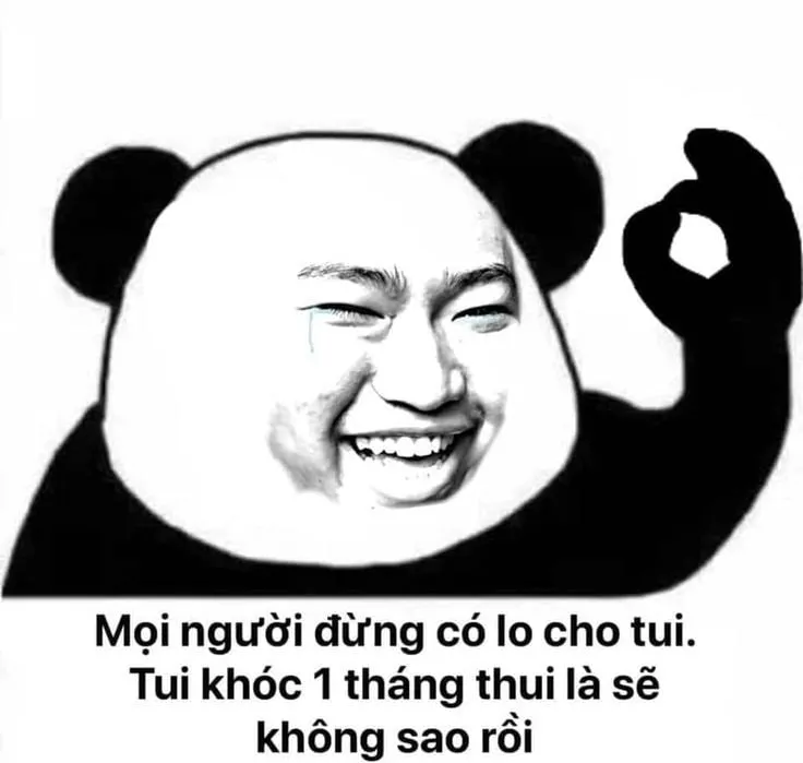 Meme gấu trúc OK trả lời nhanh gọn, cực kỳ đáng yêu.