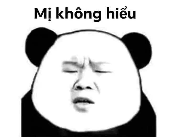 Meme gấu trúc ngạc nhiên biểu cảm 