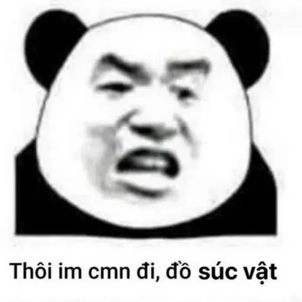 Hỏi chấm đầy chất vấn với meme gấu trúc – hình ảnh siêu hài hước.