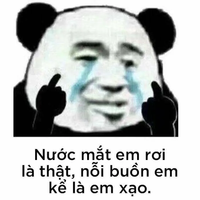 Meme gấu trúc thả tim – lan tỏa yêu thương theo cách hài hước nhất.