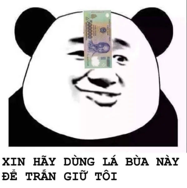 Meme gấu trúc đánh – biểu cảm hờn dỗi siêu đáng yêu và hài hước.