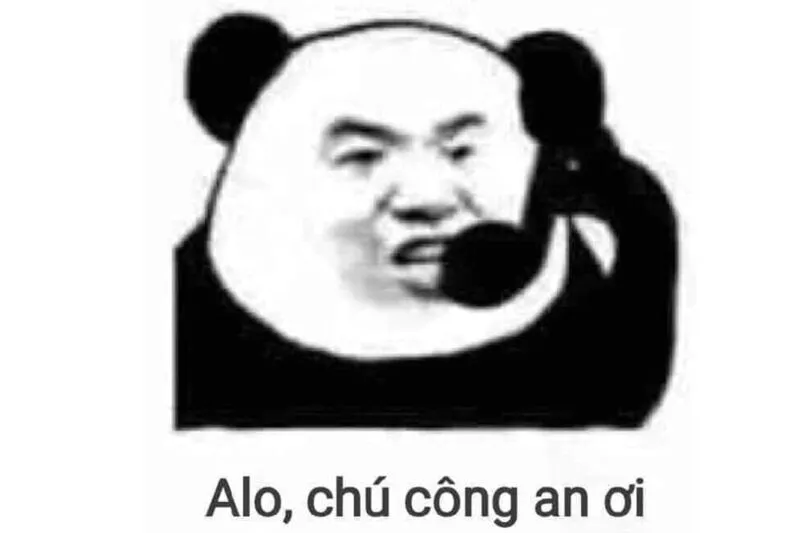 Meme gấu trúc không chữ – biểu cảm đã nói lên tất cả.