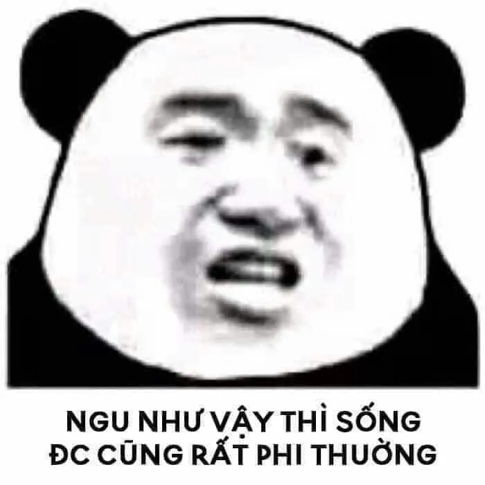 Meme gấu trúc ngại – biểu cảm bẽn lẽn nhưng siêu dễ thương.