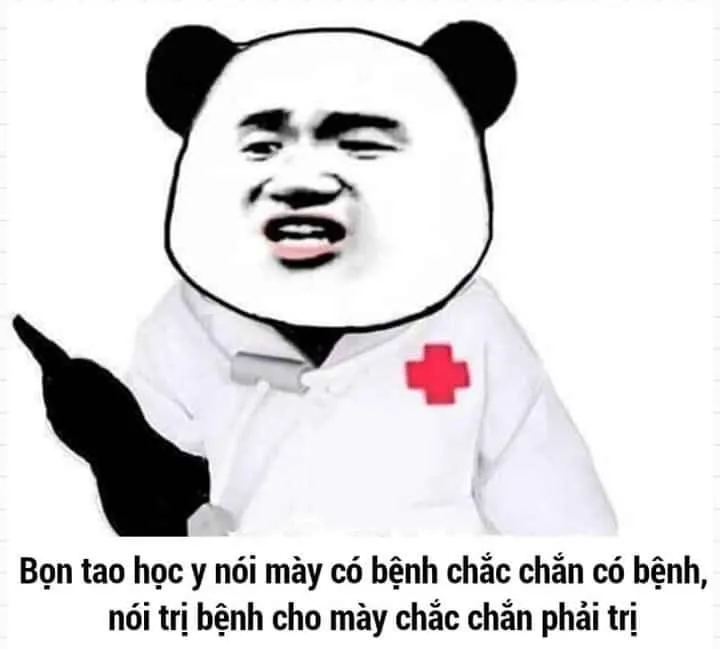 Meme gấu trúc đa tạ – lời cảm ơn chân thành qua hình ảnh siêu hài.