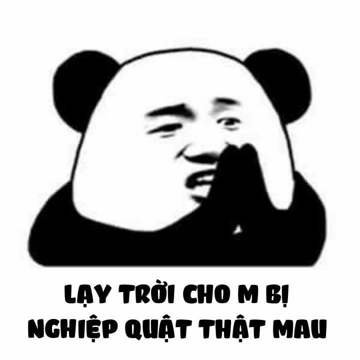 Meme gấu trúc hoa hoa – biểu cảm độc đáo tạo trend trên mạng xã hội.