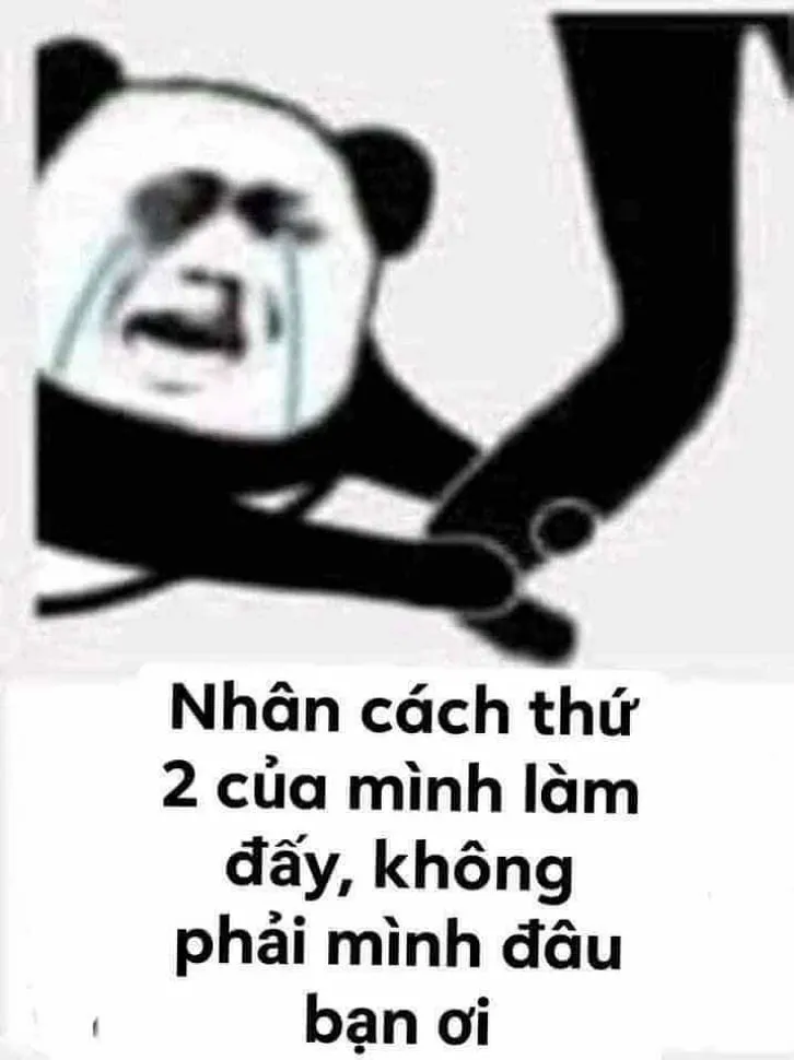 Kết thúc bài thuyết trình bằng troll meme gấu trúc – cách làm nổi bật chất hài!