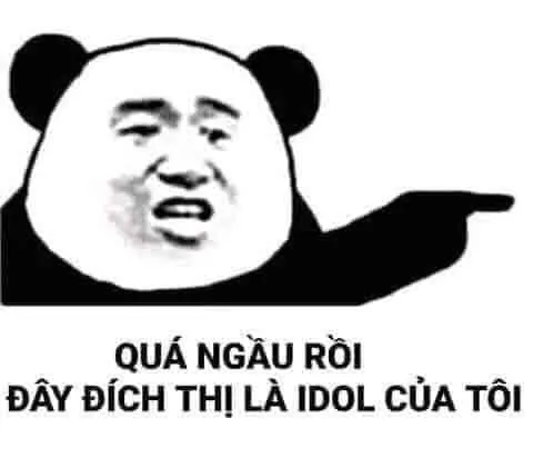 Meme Trung Quốc gấu trúc luôn đầy bất ngờ và thú vị.