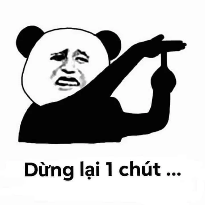 Meme gấu trúc xin lỗi cực đáng yêu, ai cũng phải yêu thích!