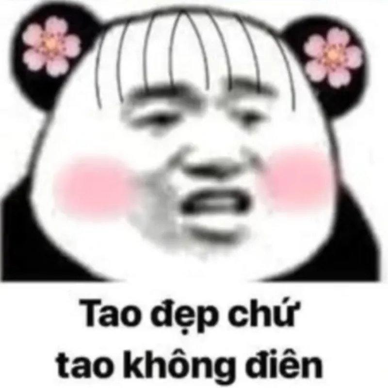 Meme em bé dễ thương nhưng đầy hài hước, đảm bảo khiến bạn cười té ghế!